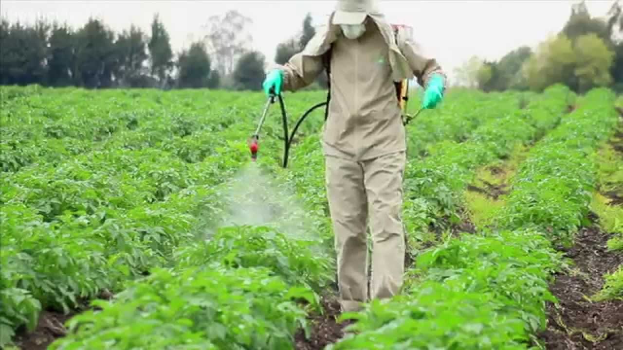 pesticide spraying equipment